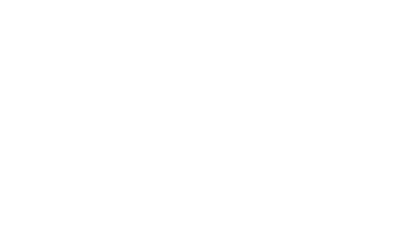 McGehee ☆ Chang, Feiler